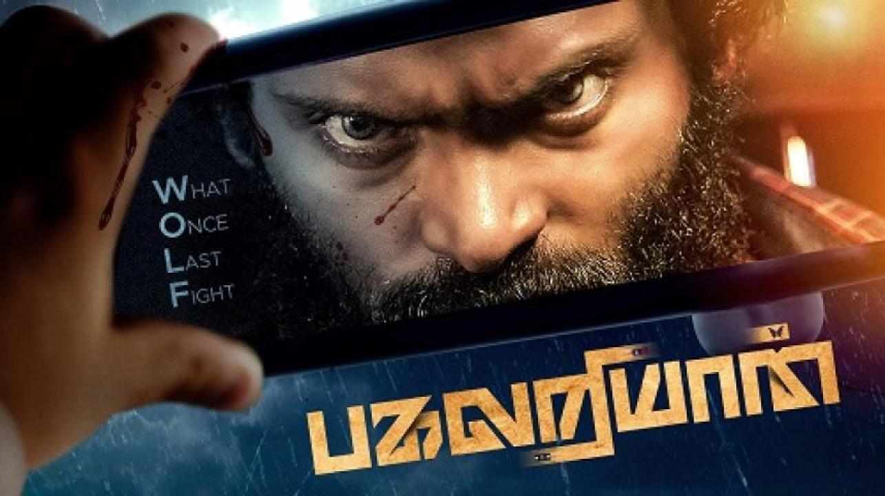 مشاهدة فيلم Pagalariyaan 2024 مترجم 