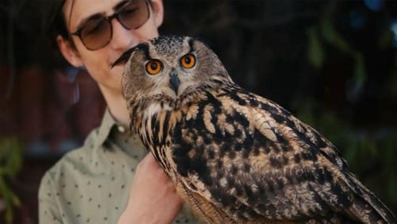 مشاهدة فيلم Rite of the Shaman 2022 مترجم 